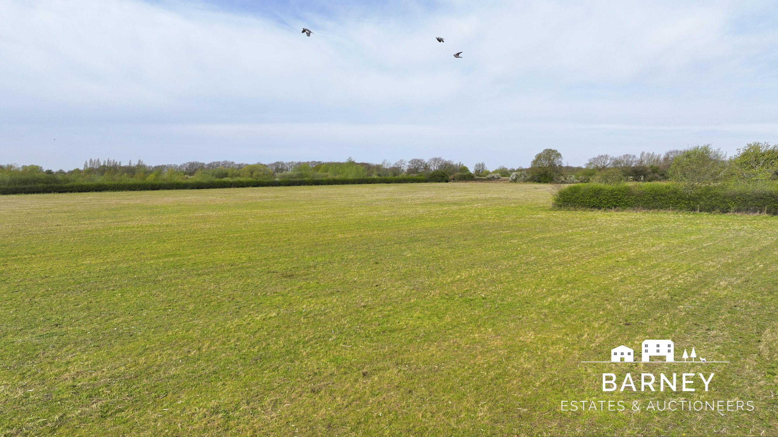 Freehold Land Maldon Road, Tiptree, Essex, CO5 0TT
